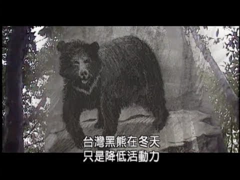 我們的島 第25集 發現台灣黑熊(下) (1999-05-03) - YouTube(57分11秒)