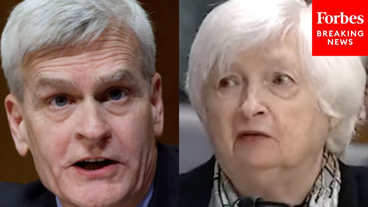 'That's A Lie!': Bill Cassidy Harshly Confronts Janet Yellen