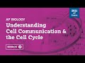 Cell Communication and the Cell Cycle Review
