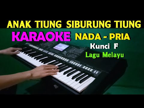 ANAK TIUNG – KARAOKE Nada Pria | Hasyim & Syaiful Amri | Joget Melayu