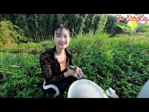 Bẫy cá rừng hoang tìm cảm giác bắt cá bằng câu chai neo qua đêm #401 | Wild Beauty
