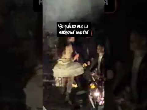 CUUUUuuuuuute by Rosalía