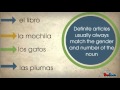 Identifying Gender of Nouns and Definite Articles in Spanish