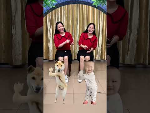 The baby and the puppy PK is so cute. The stage is everywhere.