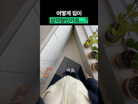 저희도 이렇게 특이한 집 처음 봐요 #shorts #전국내방자랑