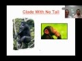 Phenetic Trees and Cladograms