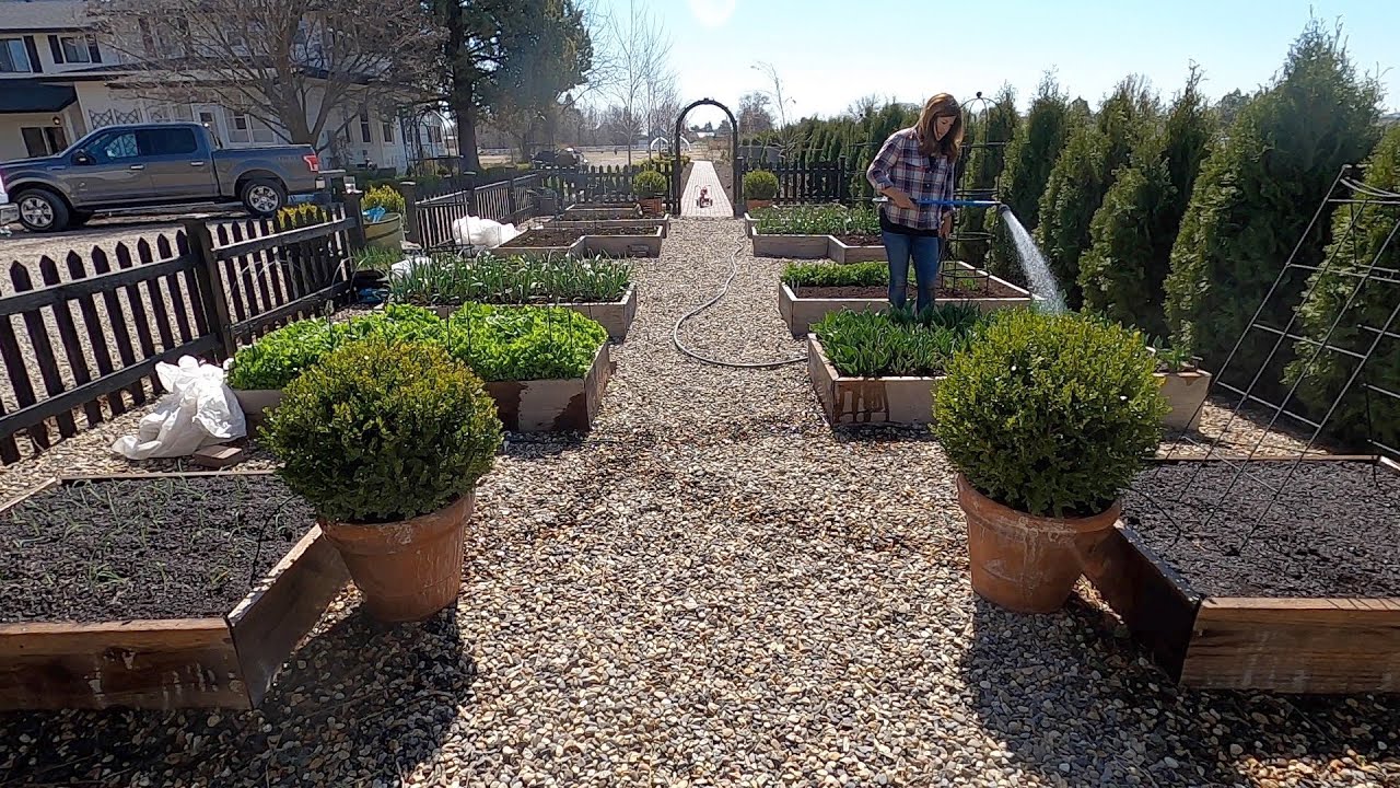 Planting Spring Crops & Starting Tomato/Flower Seed!