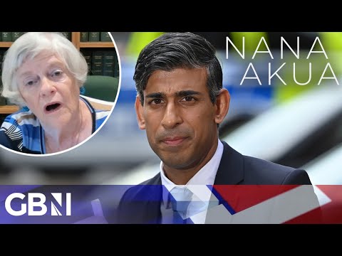 Rishi Sunak slammed as 'TOTALLY INEFFECTIVE' in damning assessment from Ann Widdecombe