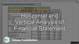Horizontal and Vertical Analysis of Financial Statement