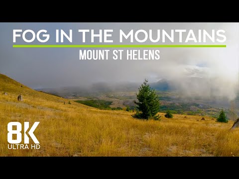 8K Tranquil Beauty of Mount St Helens - Perfect Deep Sleep Atmosphere with Wind Sound & Bird Songs