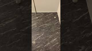 Chinozo【グッバイ宣言】お風呂で歌ってみた