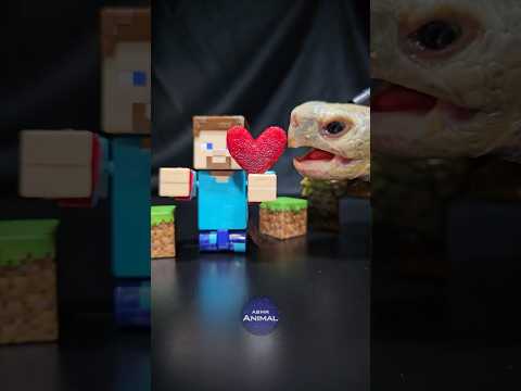 Minecraft ASMR Mukbang Eating Heart ❤️ Turtle Tortoise
