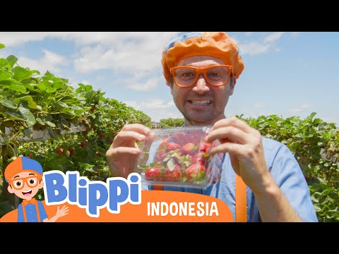 🧪Percobaan Sains Menarik Untuk Anak🔭 | Blippi Bahasa Indonesia - Video Anak  | Petualangan Blippi