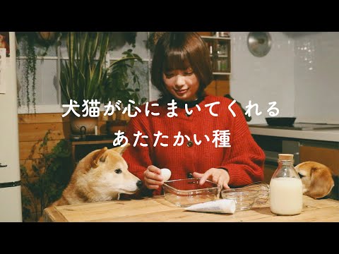 愛おしすぎて苦しくて息ができません。カリジュワ苺のフレンチトースト🍓