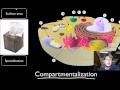 Biology Essentials: Compartmentalization