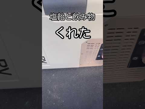 初対面でも好きにはやらせてくれない #shorts #雪盗団