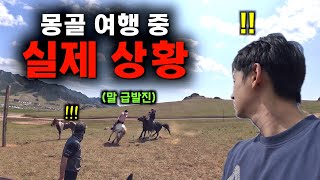 주의⛔️ 몽골 여행 중 실제로 겪은 긴급 상황 - 몽골 끝