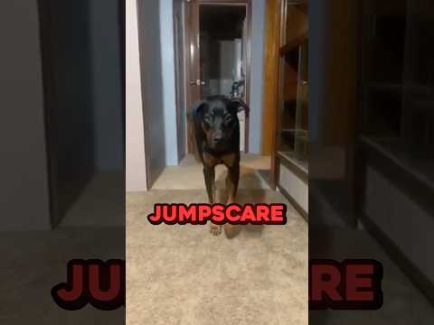 DON’T CHECK THE SOUND 😱
