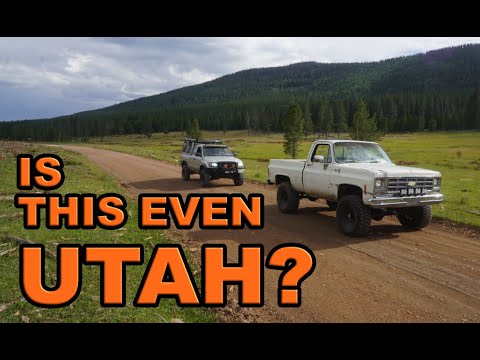 This Was Just Supposed to be a Test Drive!