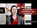 Phylogenetics and Evolutionary Relationships