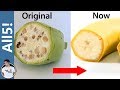 Ancient Fruits and Their Evolution