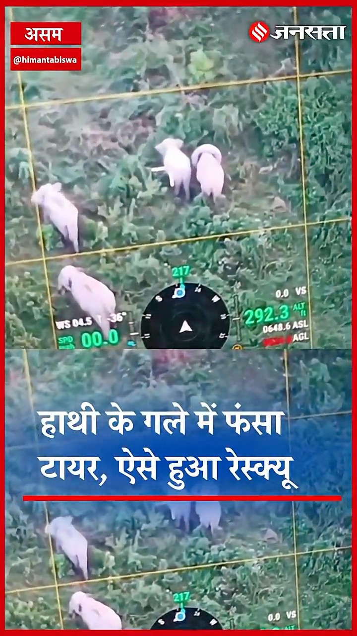 Assam के जंगल में हाथी के गले में फंसा टायर, वन विभाग की टीम ने कुछ ऐसा बचाया, वीडियो हुआ वायरल.