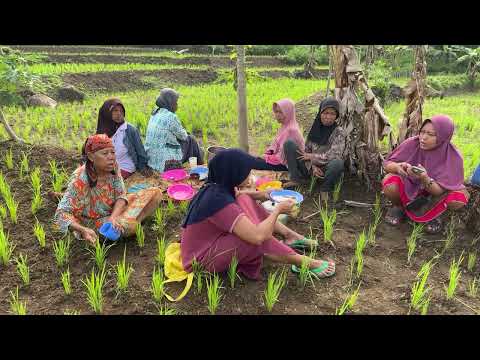 mamah ziyad masakmakan sedang live sekarang!