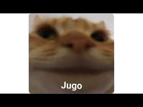 MEMES MUY XD #98