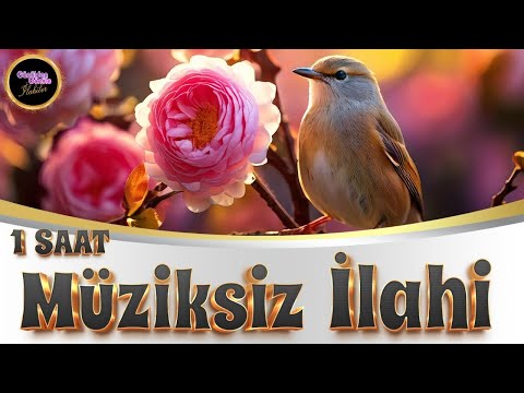 1 SAAT MÜZİKSİZ İLAHİ KEYFİ | EN GÜZEL İLAHİLER | HAYIRLI CUMALAR