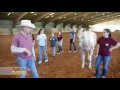 Veterinary Science Camp Insights