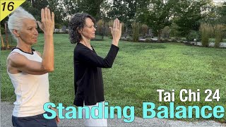 TAI CHI 24 BACK VIEW | Balance | Golden Rooster Stands on One Leg 