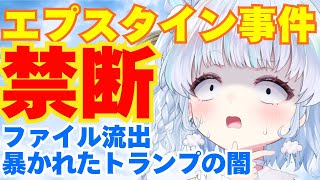 【時事】エプスタイン事件・機密ファイルの暴露でトランプの闇が暴かれた？リークの内容を解説！