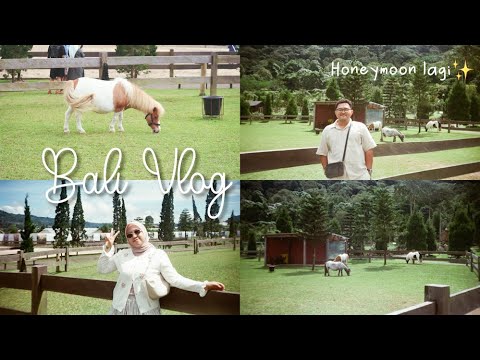 EXPLORE TEMPAT HITS DI BALI REKOMENDASI TIKTOK! HONEYMOON LAGI YEY!!
