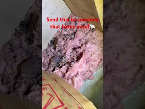 Knox Home Inspections