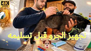 يوم مهم في حياة الجرو: التحضير للتسليم