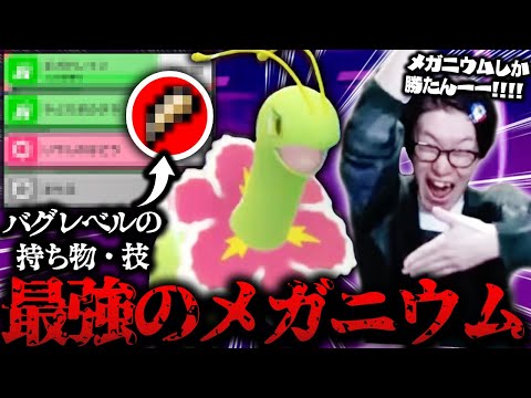 ビエラ ポケモン世界優勝的最新影片 日本youtube排名