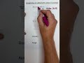 Graphing Absolute Value Functions