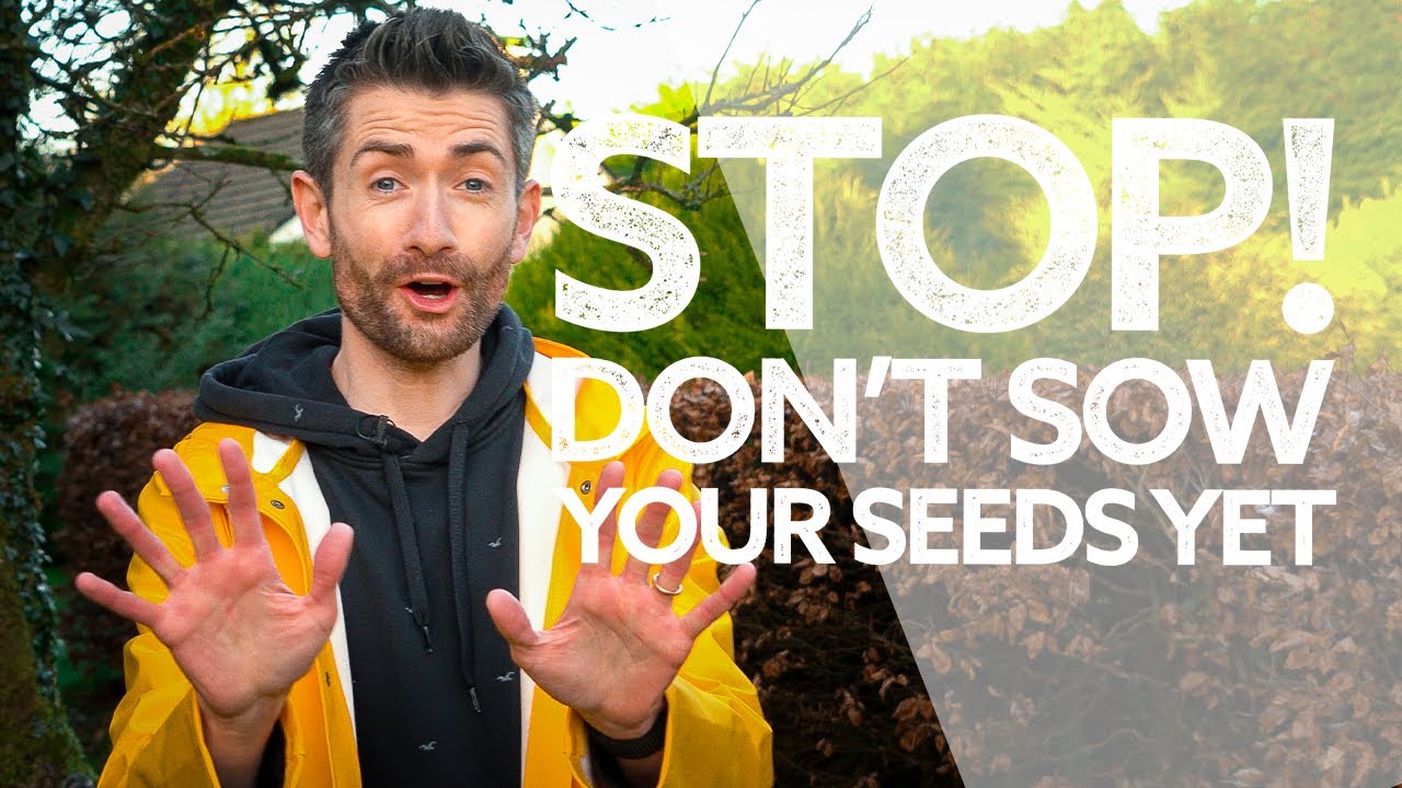 Stop! | The 10 Things You NEED TO KNOW Before You Sow Your Seeds in January and February!