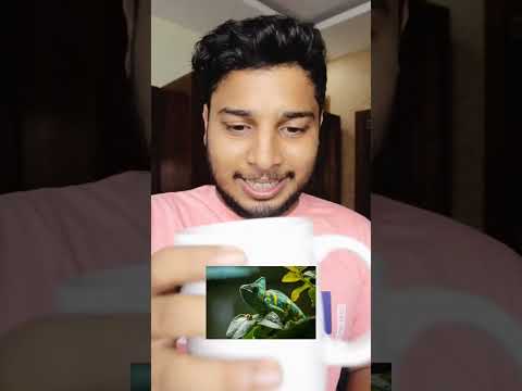 അരണ കട?/Malayalam Vine/ Comedy?#creatingforindia #youtubeshorts #shorts