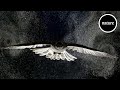 Bird Flight and Aerodynamics Concepts