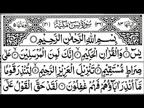 Surah Yaseen | Surah Rahman | Daily Quran Tilawat Surah Yasin Surah Rahman Full With Arabic | Ep 059