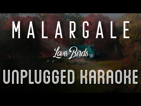 Malargale  – Love Birds | Karaoke with Lyrics | unplugged | AR Rahman | Sebin Xavier Musical