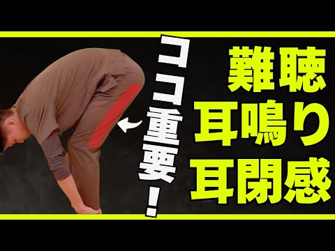 【実践セルフケア】耳鳴り、耳の詰まり、耳が聞こえづらい人は試してください！