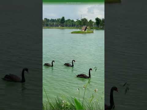 Thả điện thoại xuống, ngẩng đầu lên, bạn sẽ thấy trời đẹp đến mức nào. #ngocvenland #ecoretreat