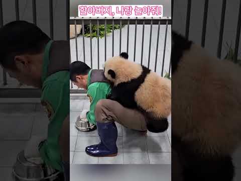 할아버지, 나랑 놀아줘!Grandpa, play with me!