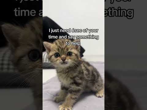 I <strong>just</strong> need 6sec of your <strong>time</strong> and say something to help.