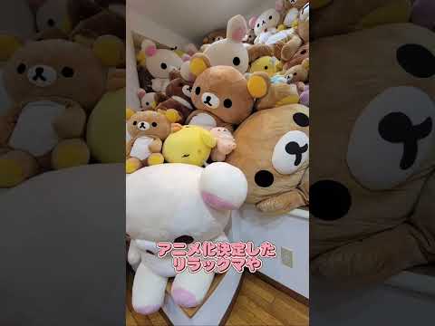 「センチメンタルサーカス」さんのショールームに行ってきました!【アニメ!アニメ!編集部】