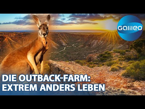 Leben am Rande der Welt: Das bewusste Leben in Einsamkeit auf der Outback-Farm