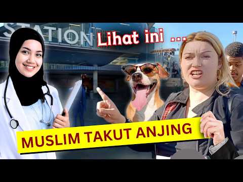 Mau Olok-Olok Muslim Takuti Anjing | Malah Buktikan Kebenaran Islam