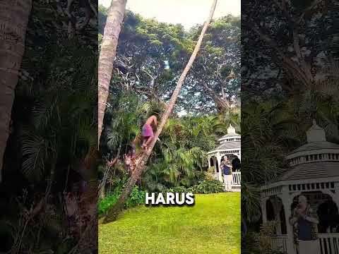 CARA LARI DARI KOMODO⁉️#videoviral #ngakak #pengetahuan